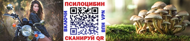 закладка  MEGA ССЫЛКА  Псилоцибиновые грибы ЛСД  Красный Холм 